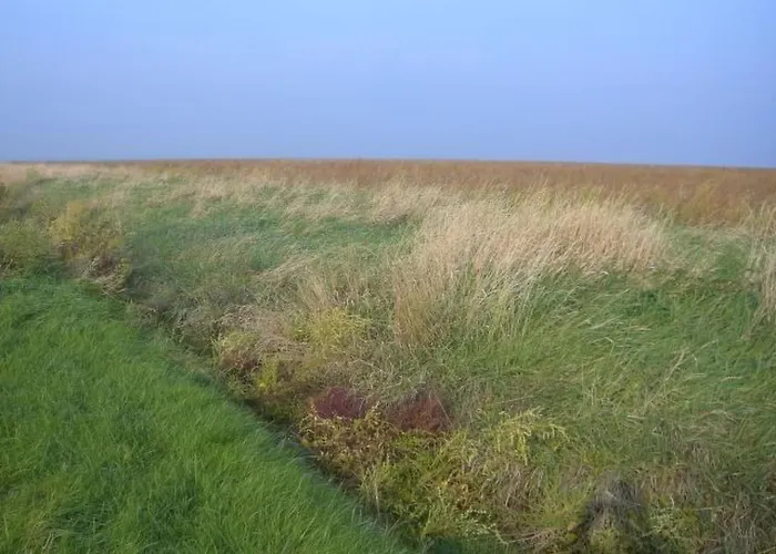 Barrierefreies Mit Grossem Grundstueck By Interhome Feriehus